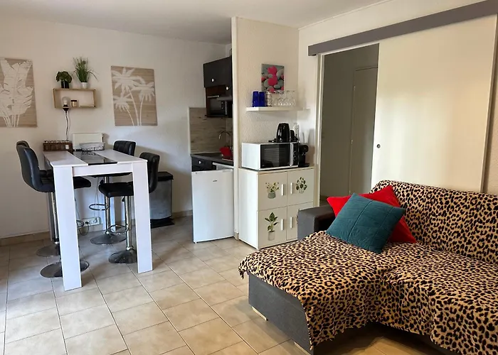 T2 Rdc A Canet En Roussillon Europa 4 Pers ,Piscine,Clim, Tennis, Parking